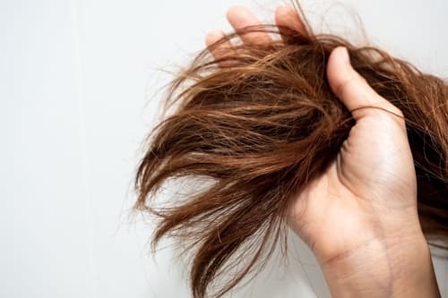 Can You Restore Heat Damaged Hair?